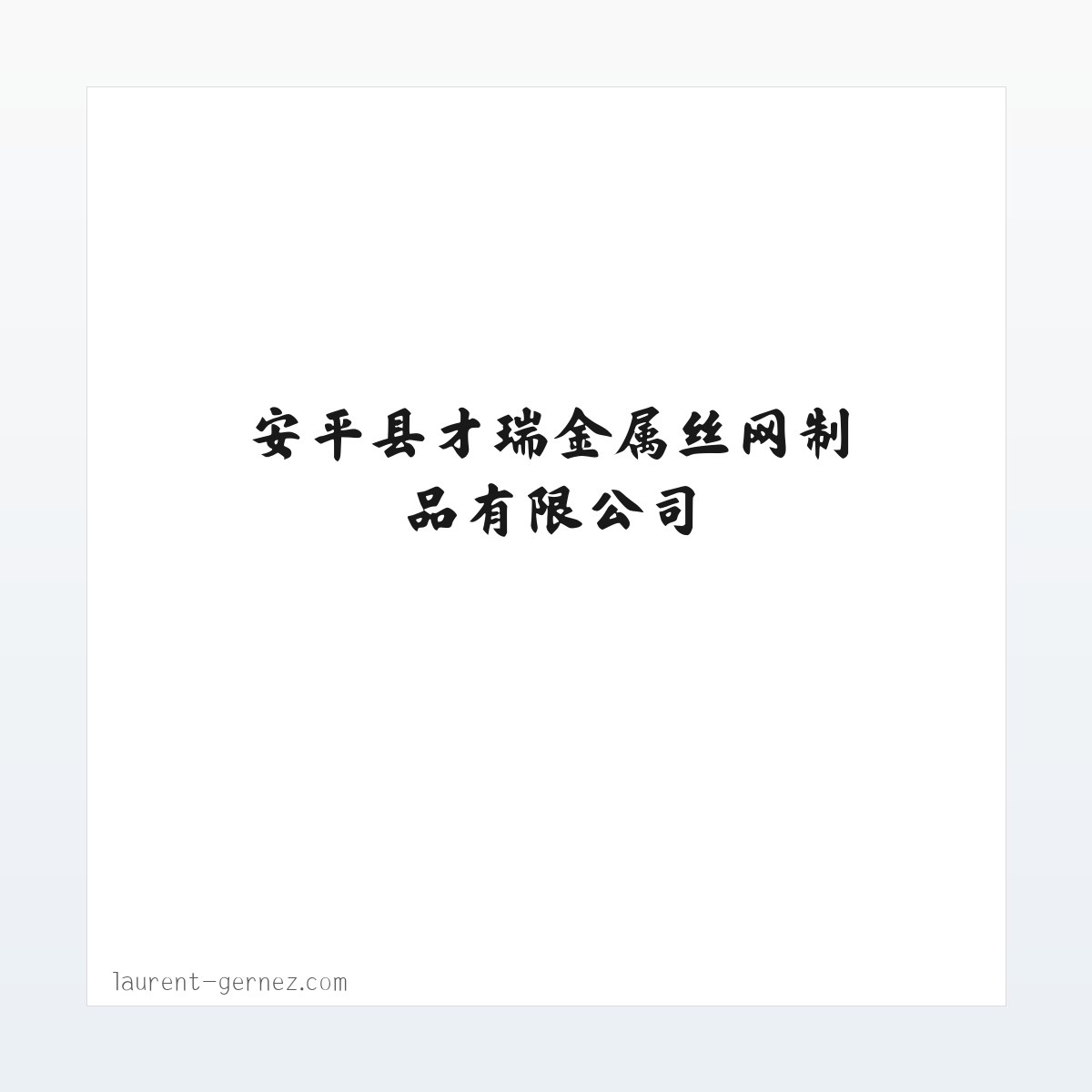 安平县才瑞金属丝网制品有限公司 方图